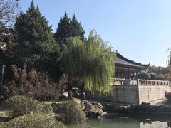 -苏州吴宫泛太平洋酒店