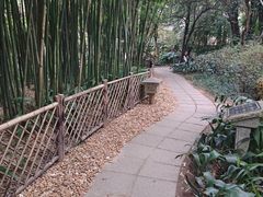 -广州兰圃