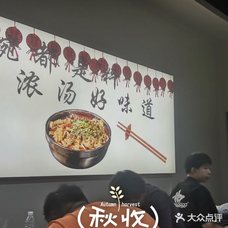 今年我最推荐的那些好去处📝