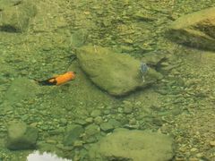 -宁波五龙潭景区