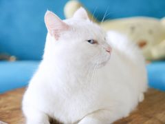 -万源汤泉韩式汗蒸
