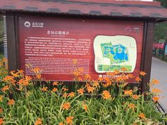 -大兴滨河森林公园