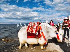 -青海湖国家重点风景名胜区