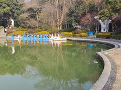 -赭山公园