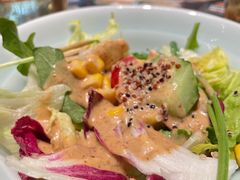 -開籠雀冰室(同和金铂店)