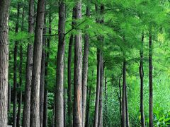 -云龙湖旅游景区