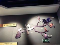-辽宁古生物博物馆