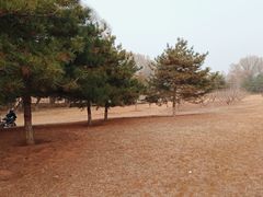 -潇河湿地公园
