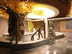 -碧中海汤泉汗蒸酒店