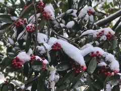 -敬亭山风景名胜区