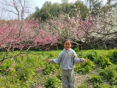 -上海海湾国家森林公园