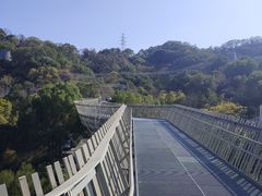 -福道