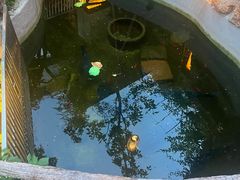 -山东大学(趵突泉校区)