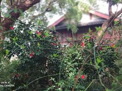 -吴山景区