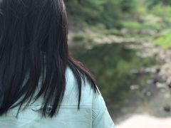-四明山国家森林公园