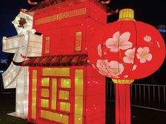 -万绿园