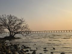 -宝安西湾红树林湿地公园