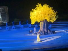 -鼎盛王朝康熙大典实景演出