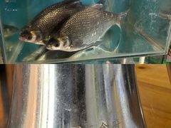 -洞天食府(北大街店)
