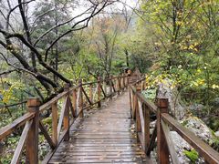 -青峰峡国家森林公园