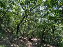 -阳台山自然风景区