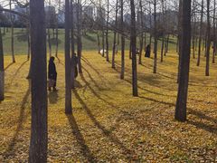 -汉长安城未央宫国家考古遗址公园