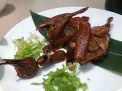 卜卜脆妙龄乳鸽-蔡澜点心·粤菜(西单大悦城店)