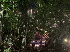 -三亚湾海居铂尔曼度假酒店