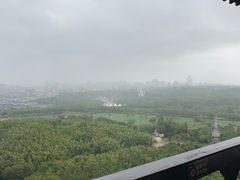 -宜兴龙背山森林公园