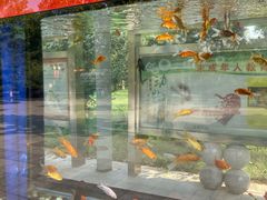 -石家庄市动物园