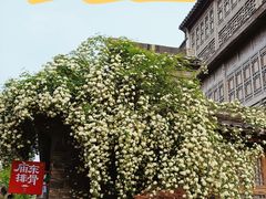 -老门东历史文化街区