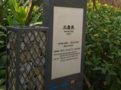 -美的鹭湖森林度假区
