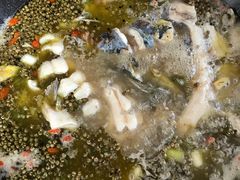 -鲜椒鱼·雅安地标性美食