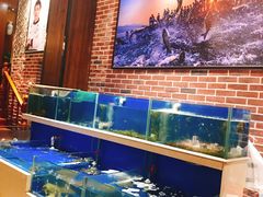 水产区-姜君·千岛湖鱼头馆(浦东大道店)