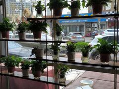 -77号渔船·蒸海鲜青岛菜(积米崖店)