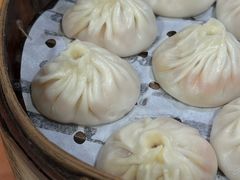 -莱莱小笼·乔艾