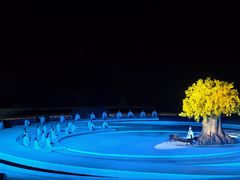 -鼎盛王朝康熙大典实景演出