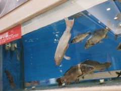 -红菜坊·烤鸭·川鲁宴(石园店)
