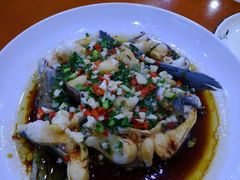 -全乐鱼馆·淳牌有机鱼直营店