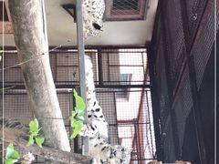 -青藏高原野生动物园