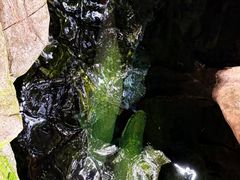 -青青世界