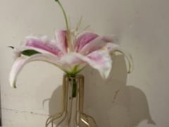 -沈师傅四季烤鸭小馆(荣盛华府店)