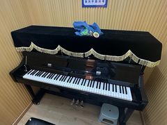 -柏斯音乐艺术中心·钢琴·吉他(世纪金源店)