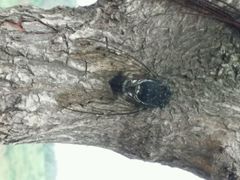 android_upload_pic-密云玫瑰情园