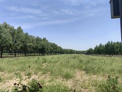 -汉景帝阳陵博物院
