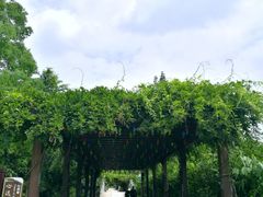 -白马涧龙池景区