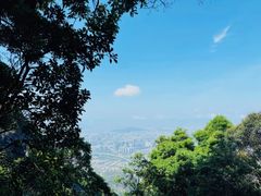 -鼓岭旅游度假区