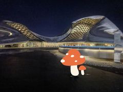 -哈尔滨大剧院