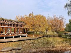 -西安浐灞国家湿地公园