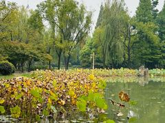 -洛阳市隋唐城遗址植物园